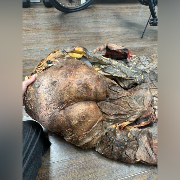 Professional Creature Costume! 👻 - Picture 3 of 4